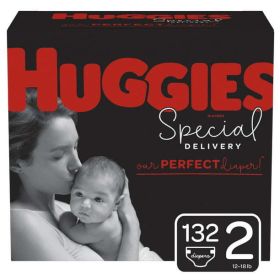 Huggies Special Delivery Hypoallergenic Baby Diapers Size 2;  Count 132